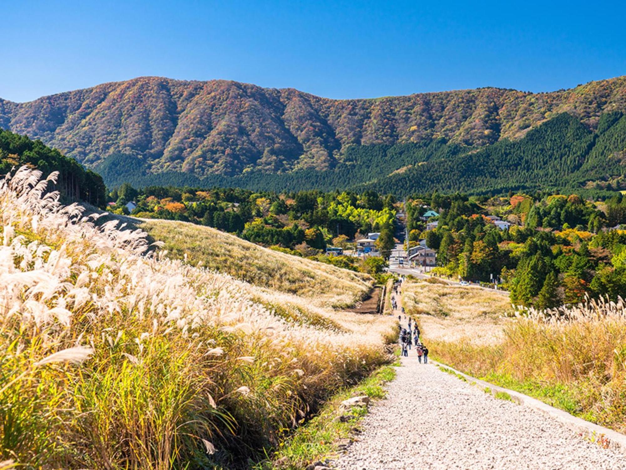 Hotel Shikinoyakata Hakone Ashinoko Bagian luar foto